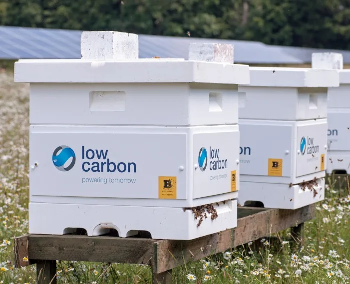 Low Carbon Bee Hives